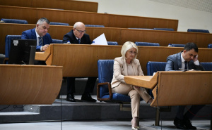 Počela sjednica Predstavničkog doma PS BiH: Pogledajte ko je sve došao