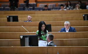 Sanja Vulić "broji" štakore u KS: "Moramo dobiti ovu informaciju da bi mogli raditi"