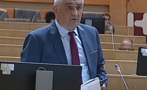 Bizarne izjave u PS BiH: 'Morao sam popiti rakiju, bio sam šokiran glasanjem'