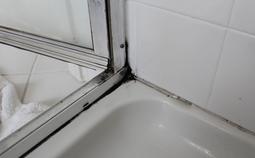Odličan savjet za uklanjanje plijesni: Riješite se spora jednom zauvijek
