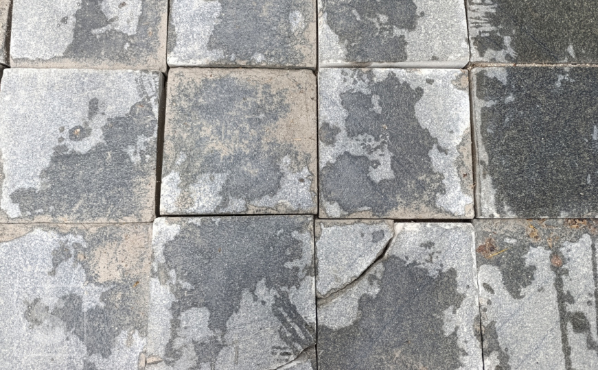 Postupak koji gotovo svi stručnjaci preporučuju: Spriječite pojavljivanje buđi i algi