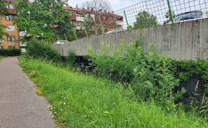 'Zar ovo neko zove parkom?' Pogledajte u kakvom je stanju Dobrinja