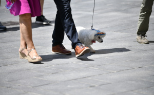 Vremenska prognoza do ponedjeljka: Temperature do 35°C, evo gdje se očekuju pljuskovi
