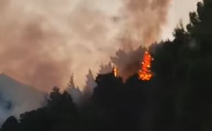 Plameni obruč između Brela i Piska: Na terenu sve vatrogasne snage, vatra prijeti kućama