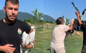 Lijepa priča iz zoološkog vrta 'Bambi': "Danas rode puštamo u prirodu, sretno pod nebeskim svodom"