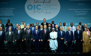 Međunarodna osuda iz Istanbula: OIC uputio kritiku rukovodstvu RS-a i podržao suverenitet BiH