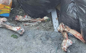 KJKP RAD objavio nove fotografije: Animalni otpad, kosti i ostaci mesa pobacani oko kontjenera