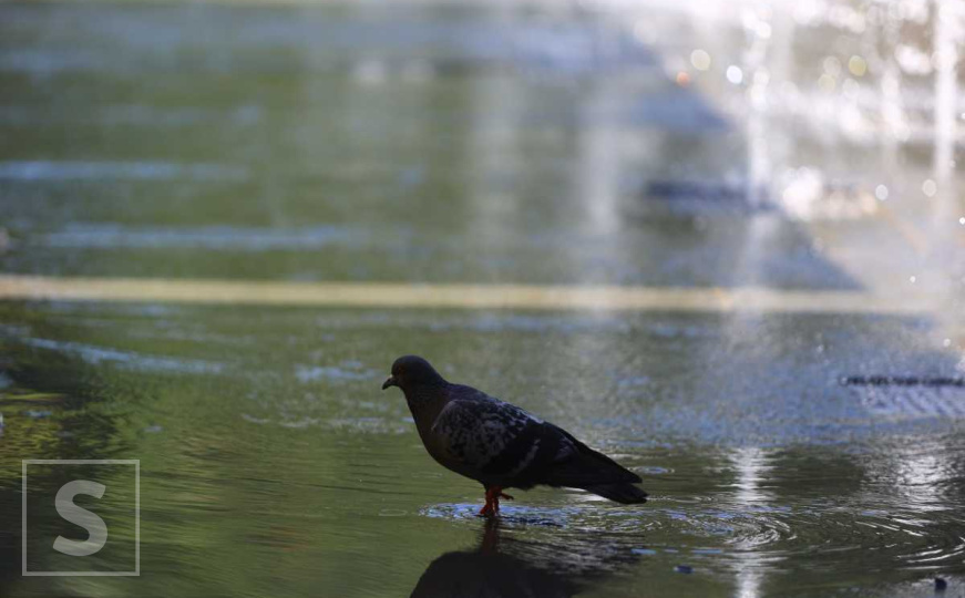 Paklen dan pred nama, ali negdje će biti kiše: Pročitajte detaljnu prognozu do ponedjeljka