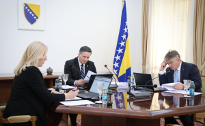 Cvijanović zakazala sjednicu Predsjedništva BiH: Na dnevnom redu i smjena ambasadora Bašića