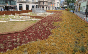 Obnovljeni prostor stare džamije u Sarajevu: Pogledajte kako izgleda nakon hortikulturnog uređenja