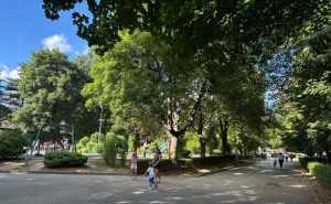 Sunčeve zrake, dječiji smijeh i subotnja radost: Pogledajte šta smo zabilježili u parku Safet Zajko