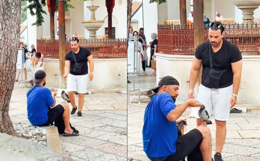 Snimak koji vraća vjeru u ljudskost: Pogledajte kako dvojica mladića poje vranu na ljetnoj žegi