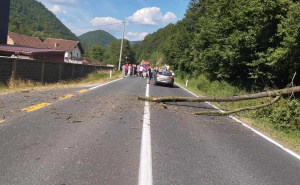 Nesreća kod Sarajeva: Stablo palo na cestu, povrijeđen motociklista
