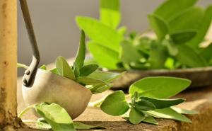 Stručnjakinja naglašava: Uvijek čuvajte začinsko bilje na ovom mjestu