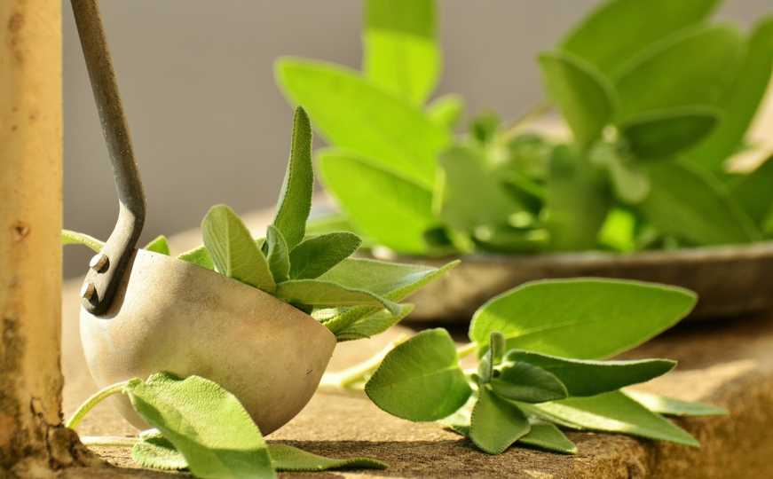 Stručnjakinja naglašava: Uvijek čuvajte začinsko bilje na ovom mjestu