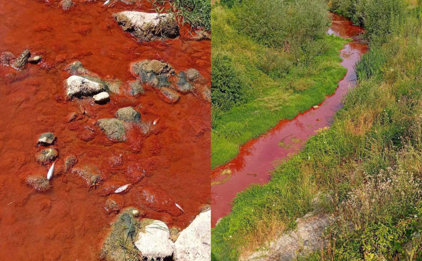 Ekološki incident: Crveni mulj završio u bh. rijeci, došlo do pomora ribe
