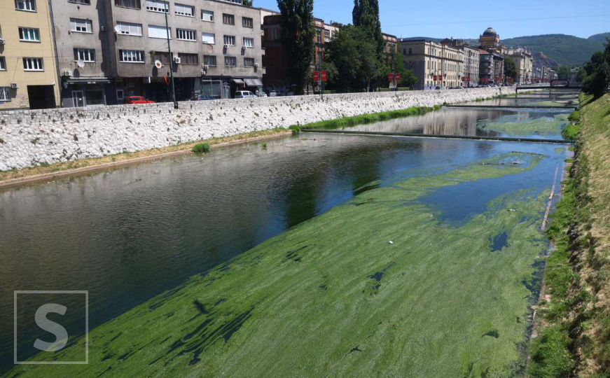 Miljacka poprimila zelenu boju: Zabrinjavajuće stanje rijeke usred visokih temperatura