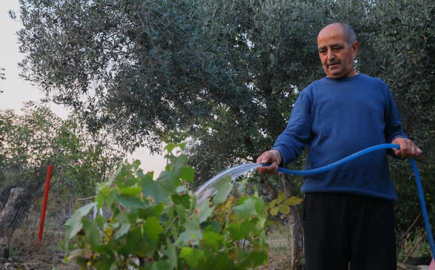 Ljetne vrućine ne moraju naštetit vašem vrtu: Savjeti za osvježenje i zaštitu biljaka tokom 40°C