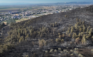 Pogledajte fotografije nakon požara u Izmiru: Vatra pod kontrolom, ali i dalje postoji rizik