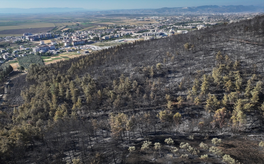 Pogledajte fotografije nakon požara u Izmiru: Vatra pod kontrolom, ali i dalje postoji rizik