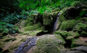 Visoke temperature prže Sarajevo: Evo šta kaže ViK o stanju izvorišta