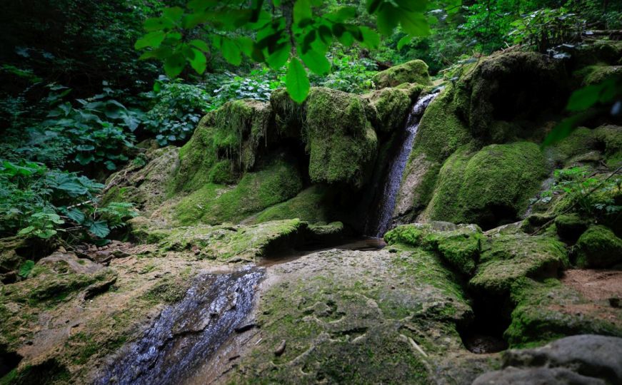 Visoke temperature prže Sarajevo: Evo šta kaže ViK o stanju izvorišta