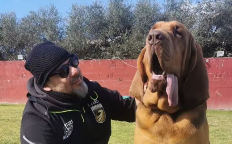 Užas u Italiji: Herojski pas Bruno krvnički ubijen, trener se oprostio emotivnom porukom