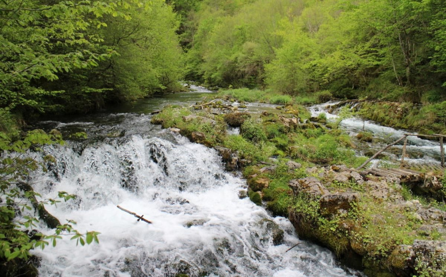 Savršen bijeg od vrelih julskih dana: Izvor Sane je idealno mjesto da odmorite duše i tijela
