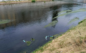 Nesvakidašnji prizor: U Miljacki plutaju električni romobili - Kako su dospjeli tamo?