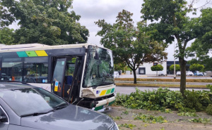 Nevrijeme u Sloveniji iščupalo stablo: Palo na autobus u kojem je bilo 15 putnika