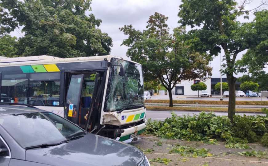 Nevrijeme u Sloveniji iščupalo stablo: Palo na autobus u kojem je bilo 15 putnika
