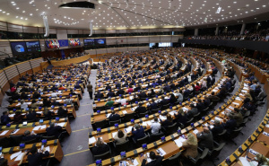 Komemoracija u Strasbourgu: "U Srebrenici se desio genocid, Europa tada nije reagovala"