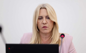 Cvijanović se obrušila na Konakovića: "Ne brinu ga krivična djela diplomata"