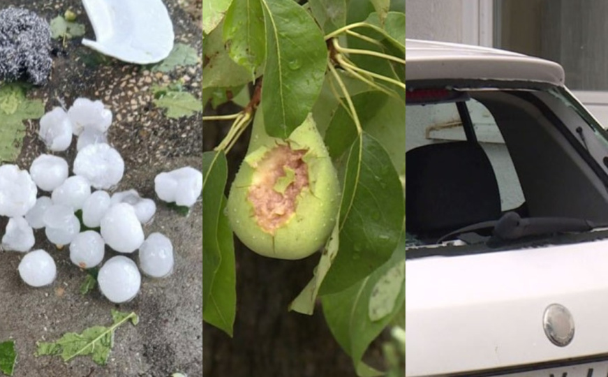 Šta nije uništila suša, dokrajčio je led: Brčko broji štetu, poljoprivrednici i mještani očajni