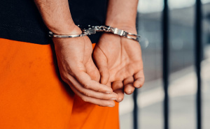 Presuda u Švicarskoj: Žena iz BiH sa suprugom brutalno pretukla pedofila (87)