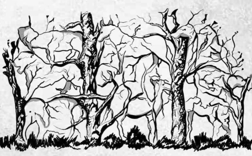 Slika koja će otkriti puno o vašoj ličnosti: Koju životinju ste prvu primjetili?