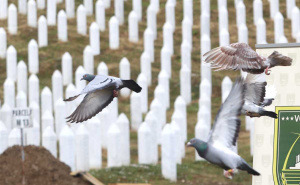 Memorijalni let za žrtve genocida u Srebrenici: U Potočarima pušteni golubovi mira