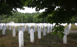 Savez kolumnista | Lisica: Genocid i teritorijalne ekspanzije prema BiH