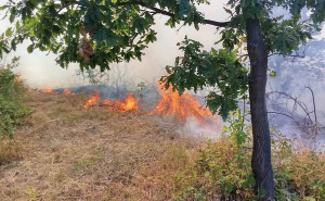 Borba s vatrom u nepristupačnom terenu: Požar kod Doboja uspješno lokalizovan