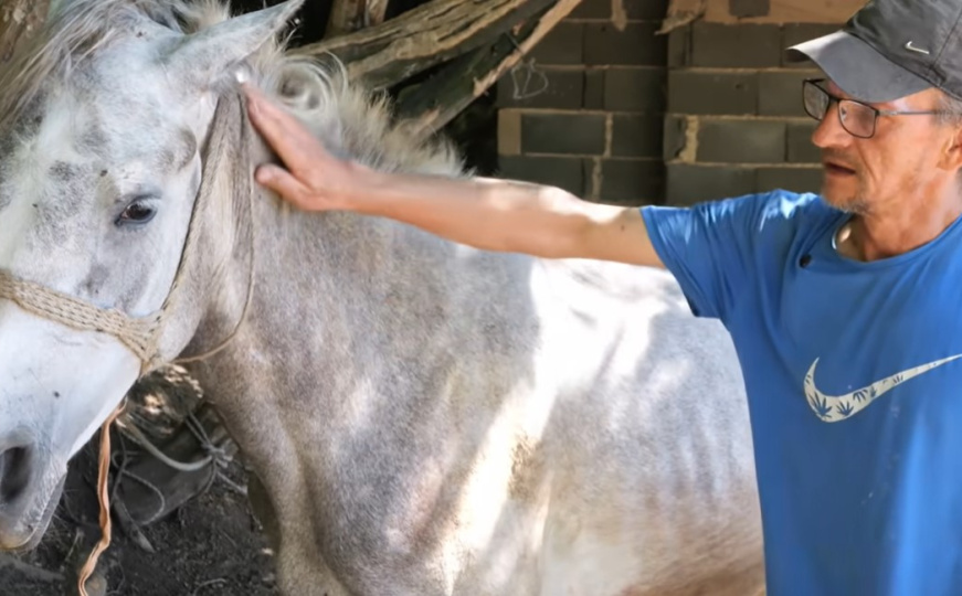 Miško će biti prvi konj u BiH sa protezom noge: "Sve ću uraditi samo da opet trči sa svojim krdom"