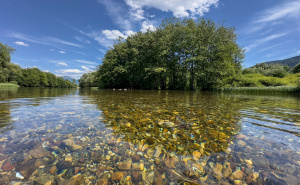 Skriveni biser Sarajeva: Građani tražili osvježenje u kristalno čistoj vodi (ne)poznate plaže