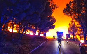 Evakuacija zbog požara na Braču: Brzom intervencijom vatrogasaca sprijeđena tragedija