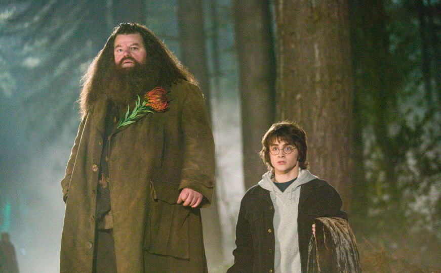 Novi Hagrid iz "Harry Pottera" izazvao burne reakcije: Pogledajte kako će izgledati u seriji