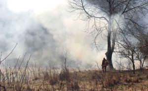 Hrvatska: Nakon noćnog izlaska mladić u šumi zapalio odjeću i umalo izazvao katastrofu
