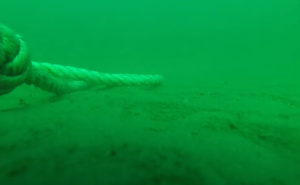 GoPro snimak s dna okeana prestravio gledatelje: "Ovo me je iskreno uznemirilo"