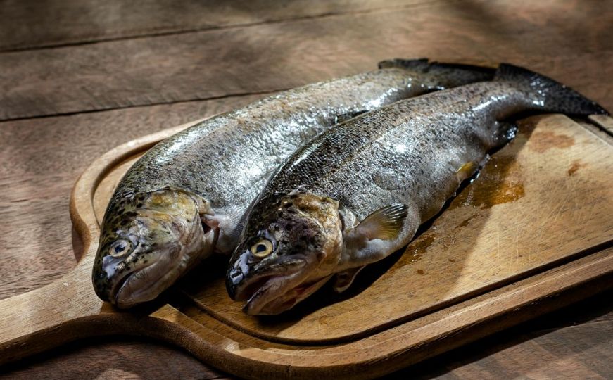 Neobičan trik za sadnju paradajza: U svoj vrt trebate stavljati riblje glave