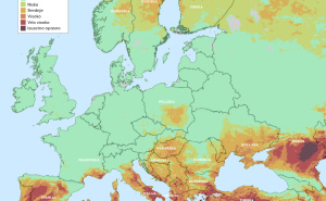 Europa u pripravnosti: Rekordne temperature, toplotni valovi i prijetnje od šumskih požara