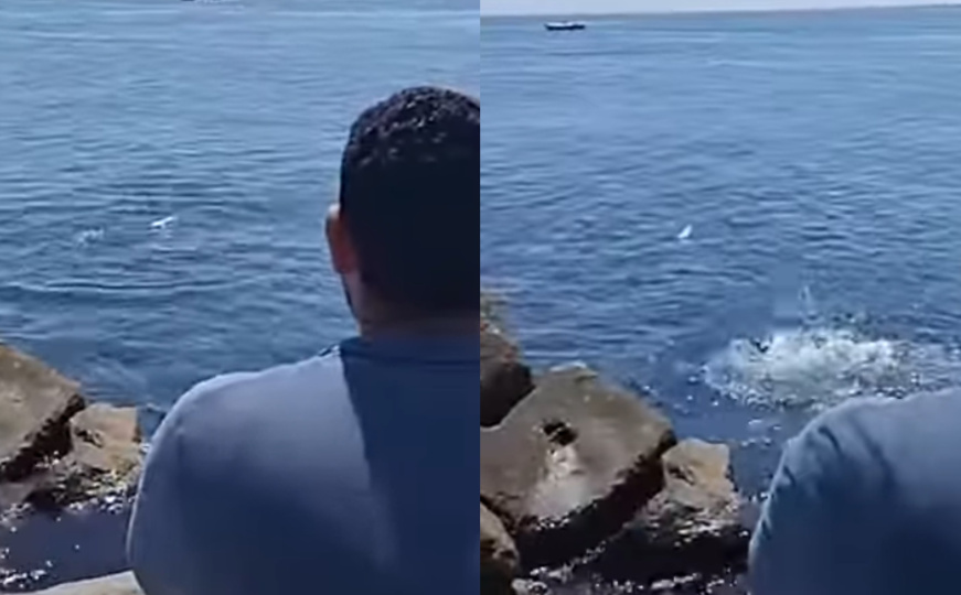 Kada kamioni ne prolaze, more je jedini izlaz: Egipćani šalju 'boce nade' sa hranom prema Gazi