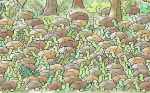 Baš je prepredena: Zmija se sakrila među kornjače, pronađite je za 10 sekundi