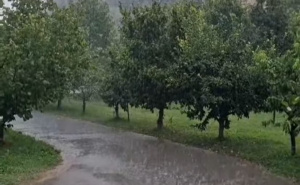 Stiglo osvježenje: U ovom bh. gradu lije kiša